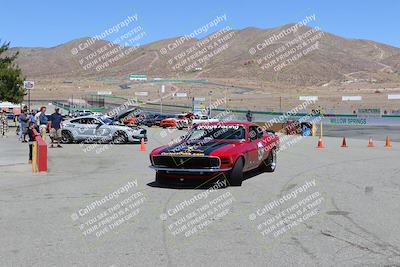 media/May-07-2022-Cobra Owners Club of America (Sat) [[e681d2ddb7]]/Around the Pits/